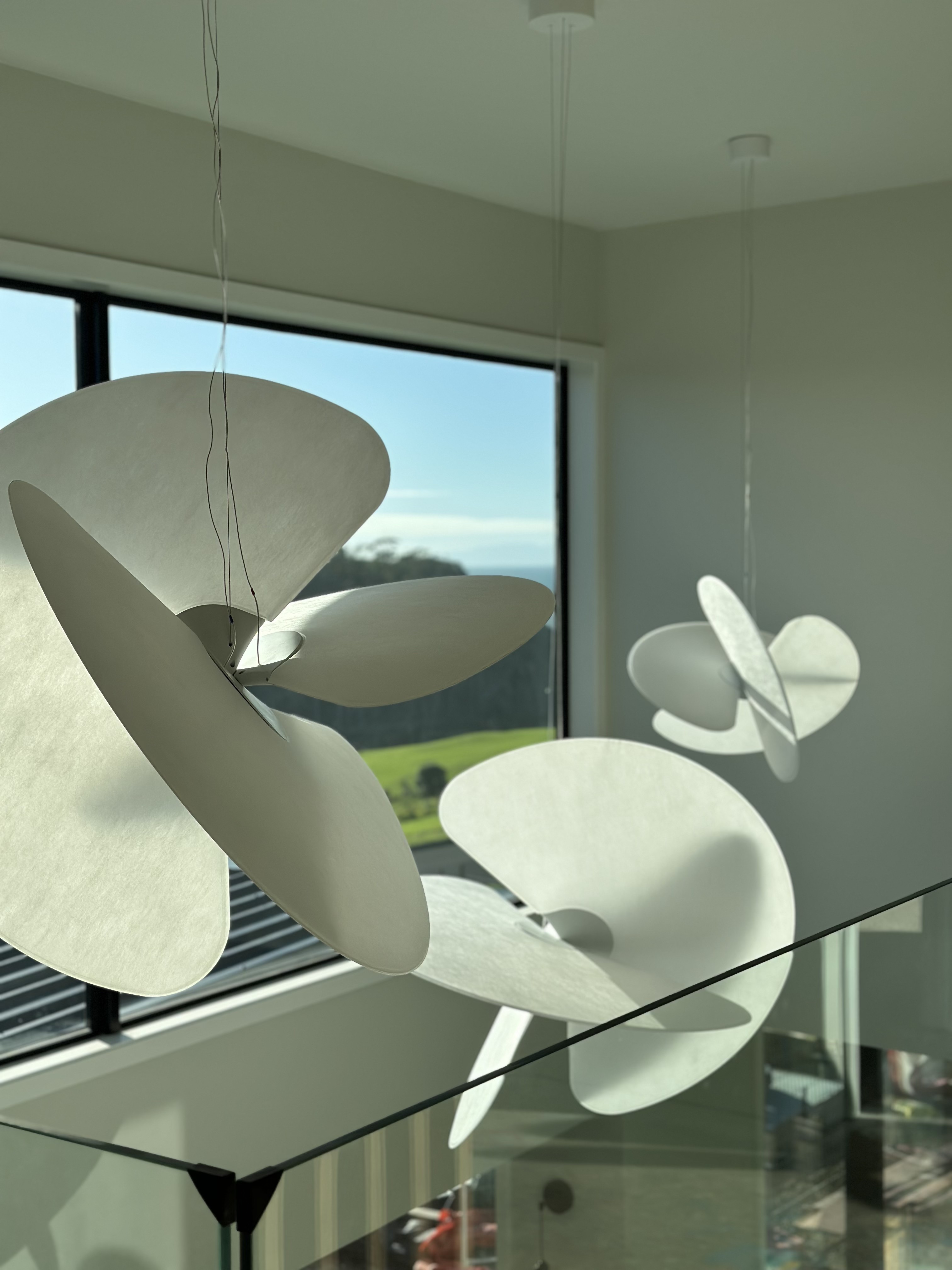 Weiti Bay project image